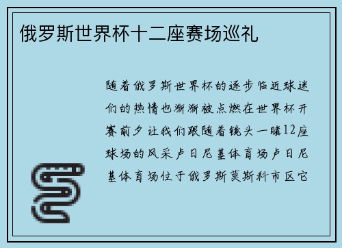 俄罗斯世界杯十二座赛场巡礼